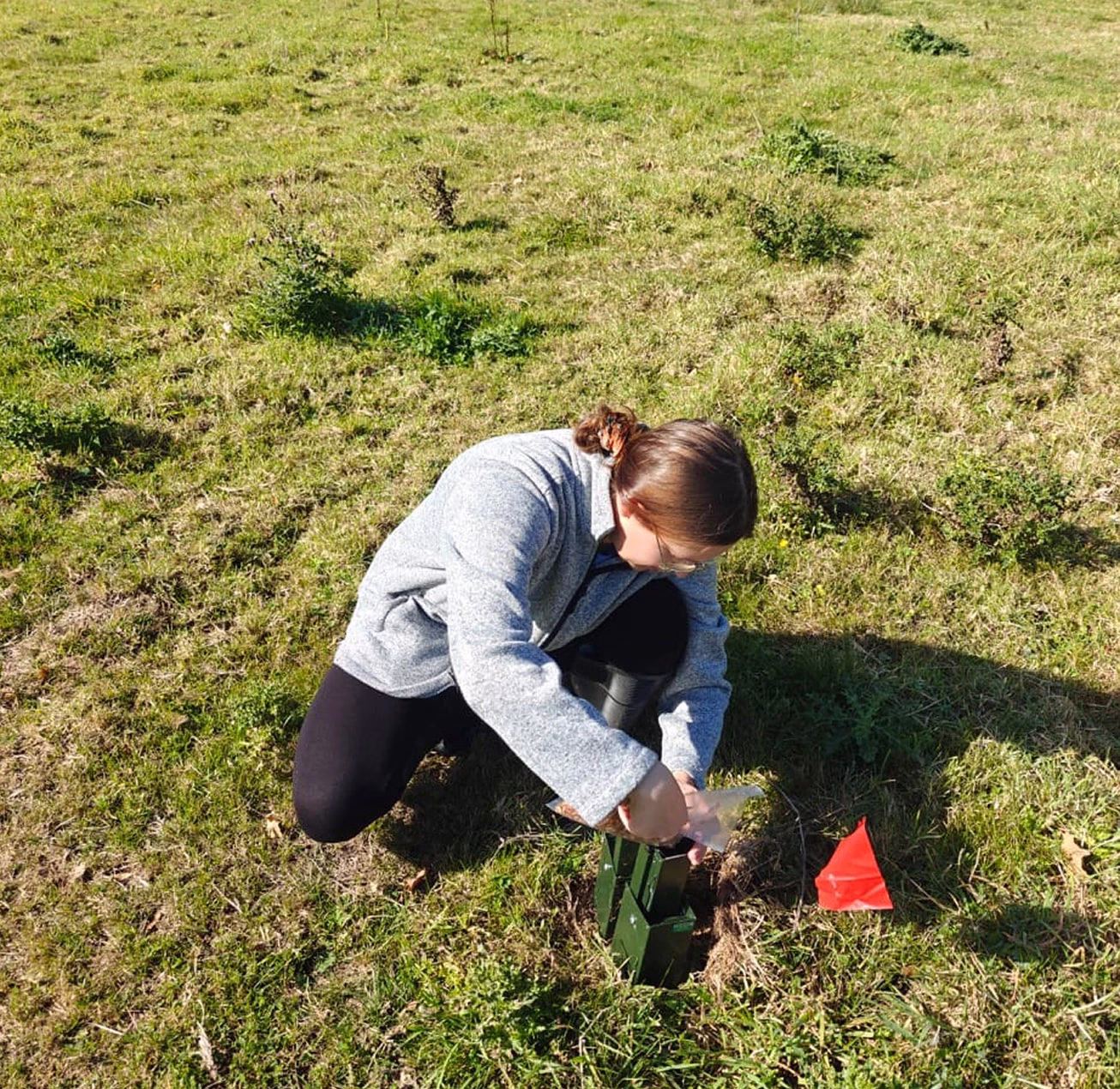 About-Us-Ecologists