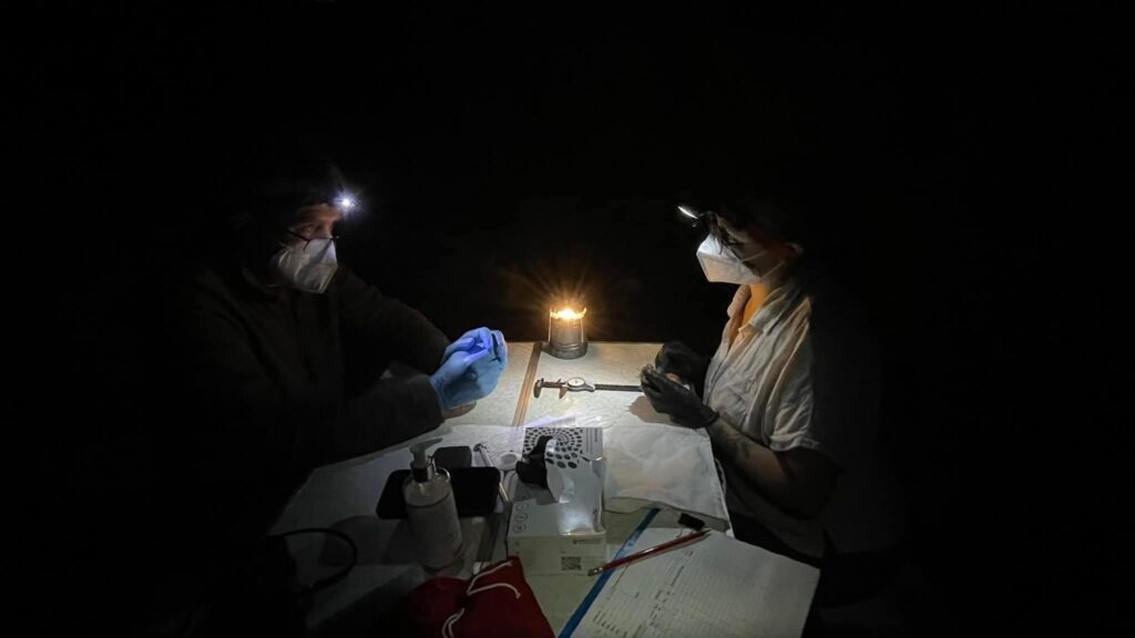 Masked researchers working with headlamps in dark room.