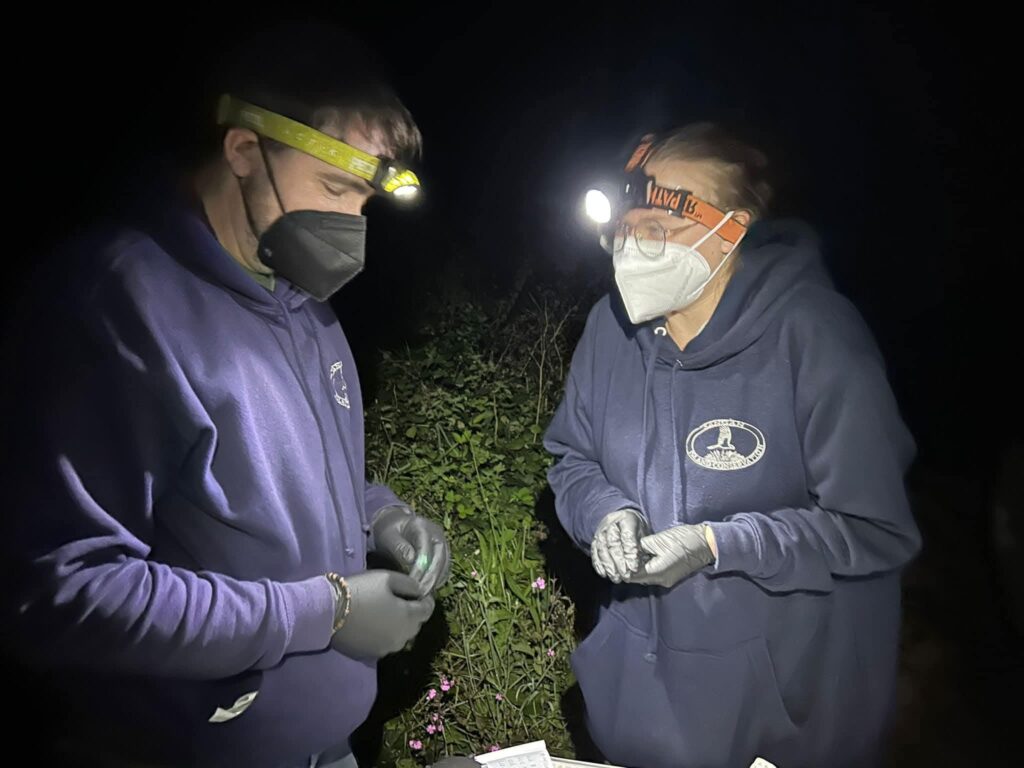 Scientists wearing headlamps and masks conduct nighttime research.