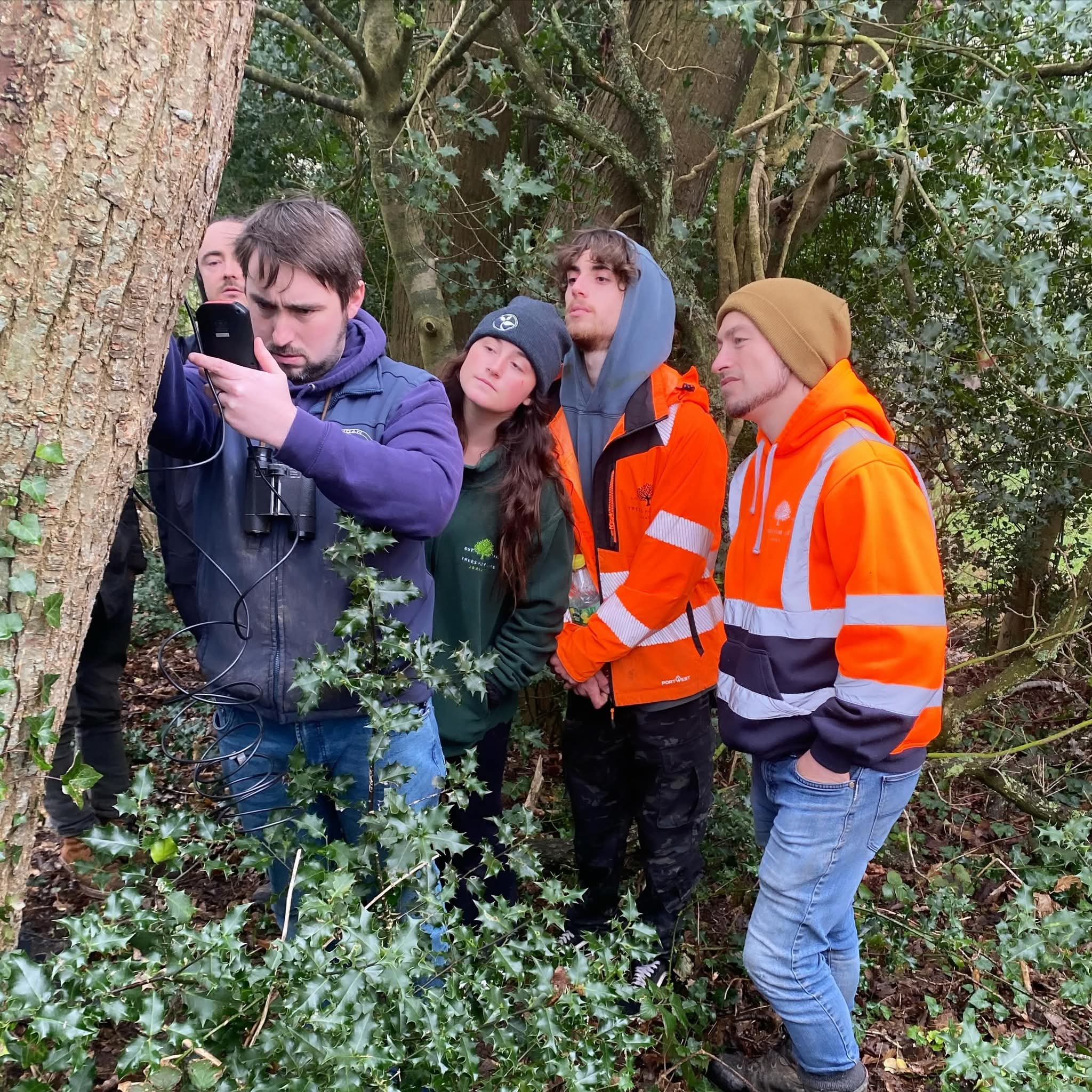 People examining tree with device in forest.