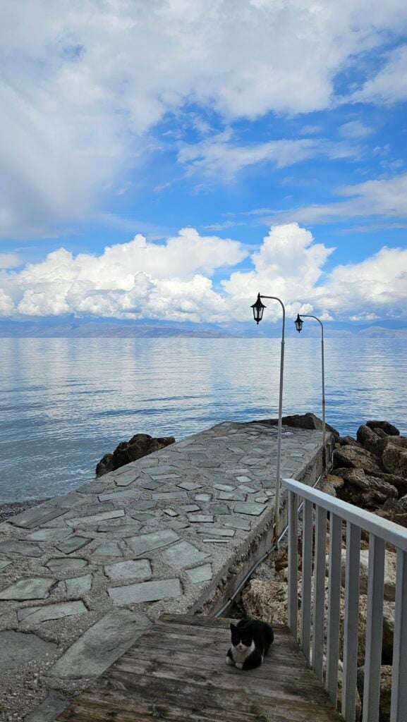 Cat on pier by the sea under cloudy sky.