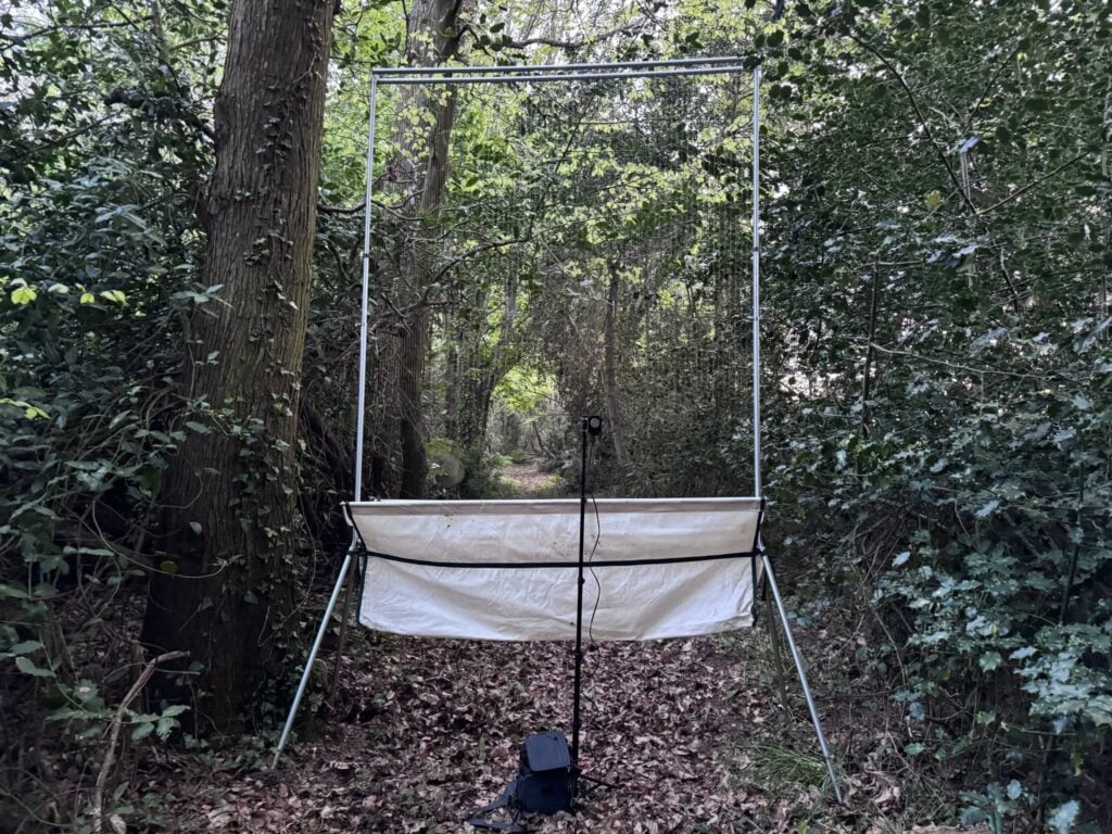Outdoor insect collecting setup in forested area.