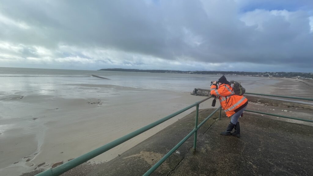 Person photographing cloudy beach scene with binoculars.
