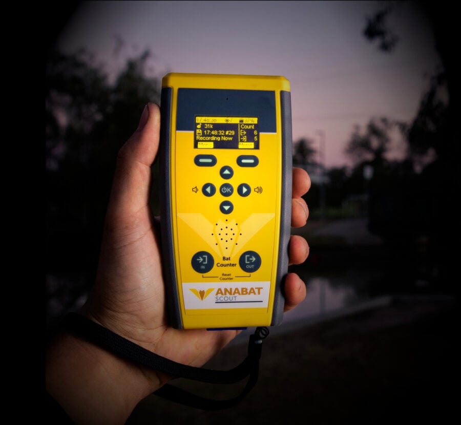 Hand holding a yellow Anabat Scout bat detector.