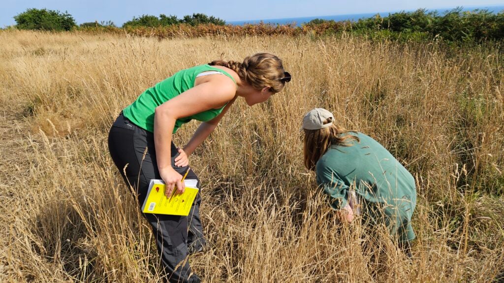 Two women examining plants in a dry field.
