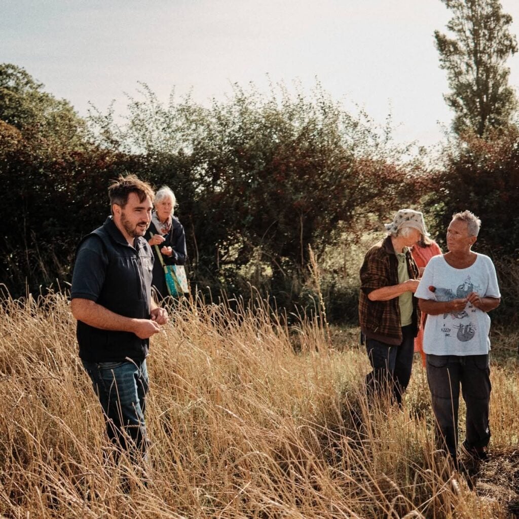 People walking through a field on a sunny day.